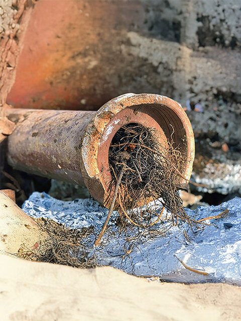 Blocked Drains